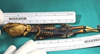 Uzaylı İddiaları Doğru Mu?