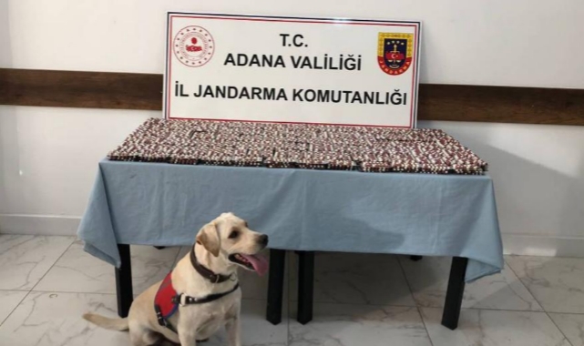 14.868 Sentetik Ecza Hapı Ele Geçirildi