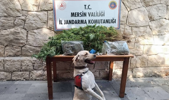 Mersin'de Uyuşturucu Operasyonu