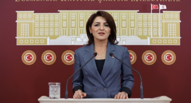 Sağlıkta Şiddet Meclis Gündeminde