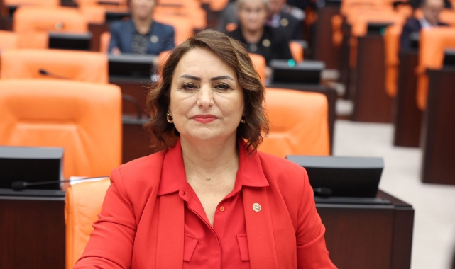 Sokak Hayvanlarına Kısırlaştırma Çağrısı