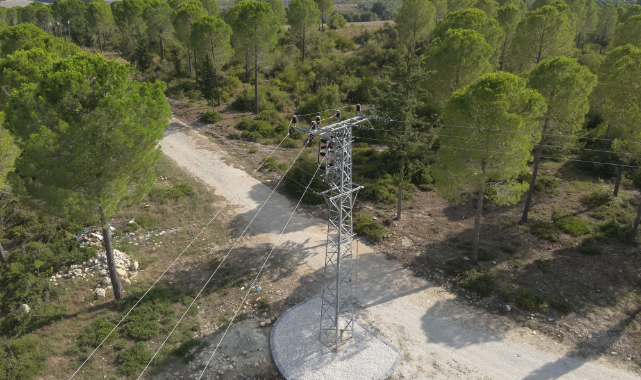 Toroslar EDAŞ'tan Orman Yangını Riskine Karşı Yeni Tedbir