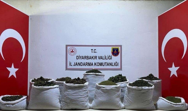 135 Kilogram Esrar Ele Geçirildi