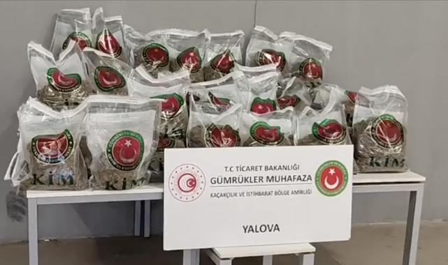 80 Kilogram Esrar Ele Geçirildi
