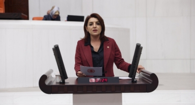 CHP'li Kış:'' Vatandaş Sadece Kiraya Çalışıyor''