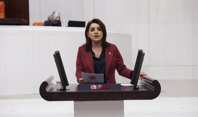 CHP'li Kış:'' Vatandaş Sadece Kiraya Çalışıyor''