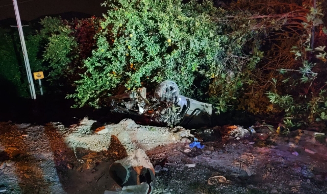 Köpeğe Çarpan Otomobil Takla Attı