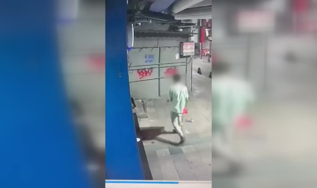 Poşete Koyduğu Kediyi Tekmeleyerek Öldürdü