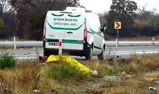 Tarlada feci kaza:1 ölü, 8 yaralı