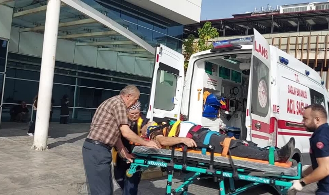 Yaşlı Adam Ağaçtan Düştü