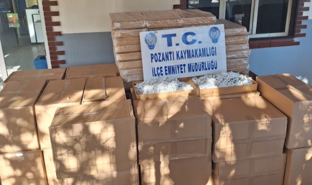 Gümrük Kaçağı 675 Bin Sigara Ele Geçirildi