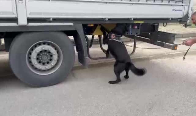 Uyuşturucu Sevkiyatı Narkotik Köpeğine Takıldı