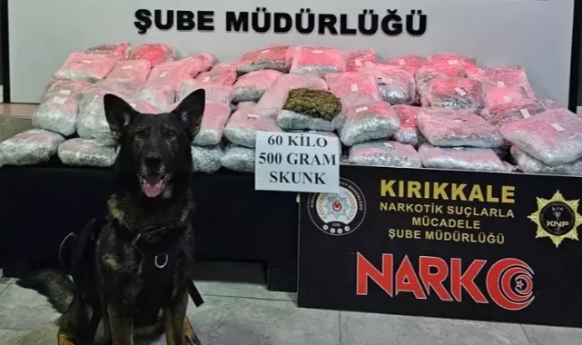 60,5 Kilogram Skunk Ele Geçirildi