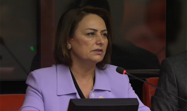 CHP'li Şevkin:''Emekliler Yaşarken Ölüme Mahkum Edildi!''