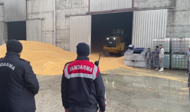 Mısır Yığının Altında Kalan İşçi Öldü