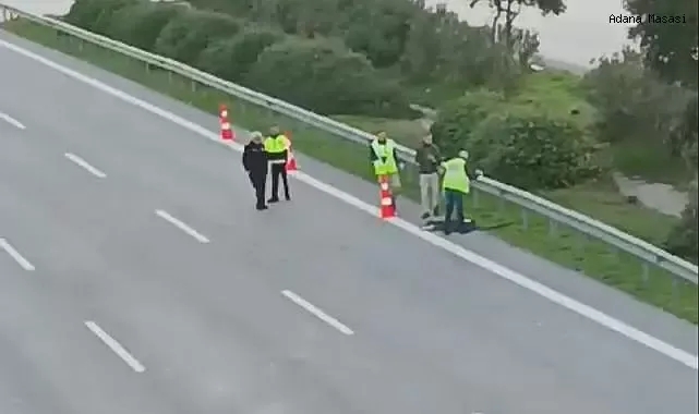 Otoyol Kenarında Erkek Cesedi Bulundu