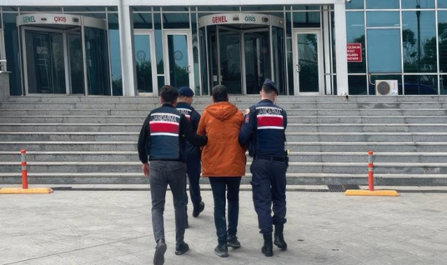 Tavuk Çiftçiliğinde Hint Keneviri Yetiştiriyormuş