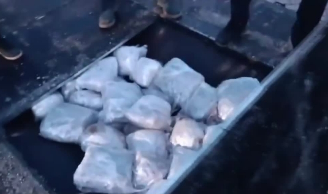 Tır Dorsesine Gizlenmiş 138 Kilogram Skunk Bulundu