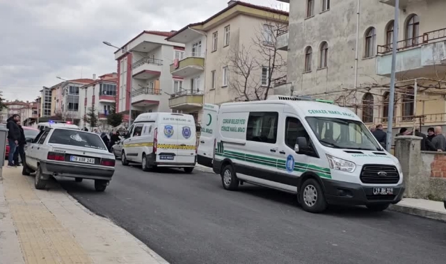 Ağaç Budarken Öldü