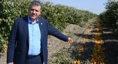 Ayhan Barut:"Felaket Kapıda, Önleyin!"