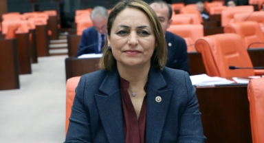 Balcalı ve Akkapı Devlet Hastanesi Meclis Gündeminde