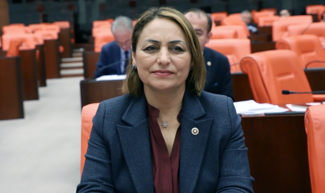 Balcalı ve Akkapı Devlet Hastanesi Meclis Gündeminde