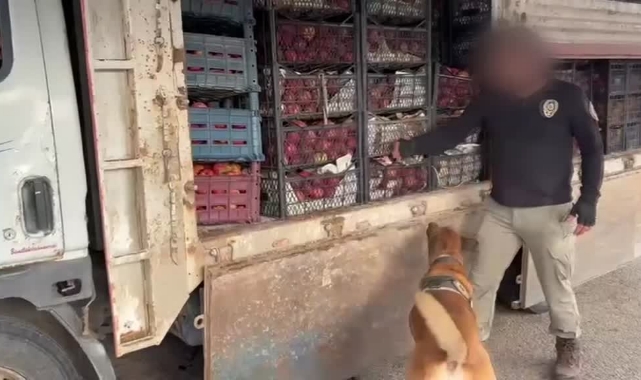 Elma Kasalarından Uyuşturucu Çıktı