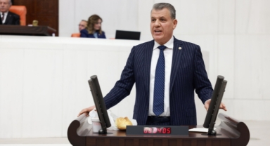 Gıdadaki Tehlike Krizi Meclis Gündeminde