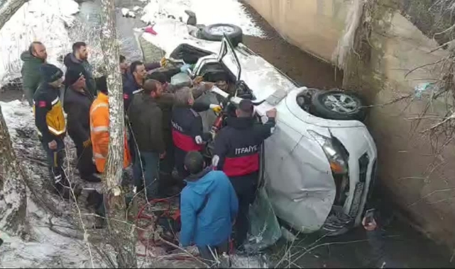 Kontrolden Çıktı, Şarampole Devrildi