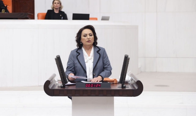 “Madenler, Uluslararası Ve Yandaş Şirketlere Peşkeş Çekiliyor”