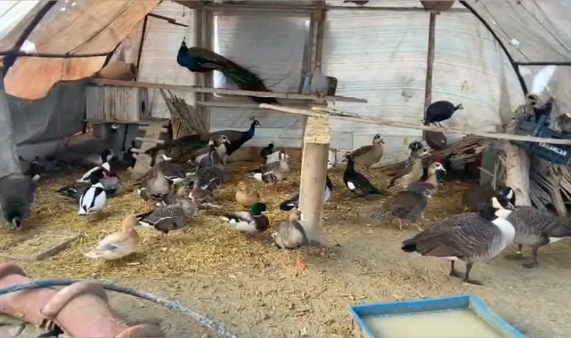 Nesli Tükenen Hayvanların Ticaretini Yapıyormuş