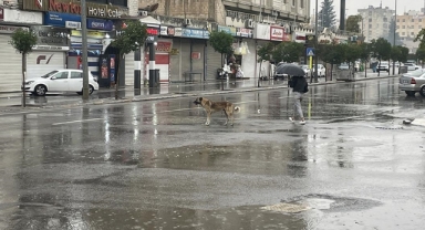 Şanlıurfa'da Eğitime 'Sağanak' Engeli