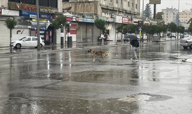 Şanlıurfa'da Eğitime 'Sağanak' Engeli
