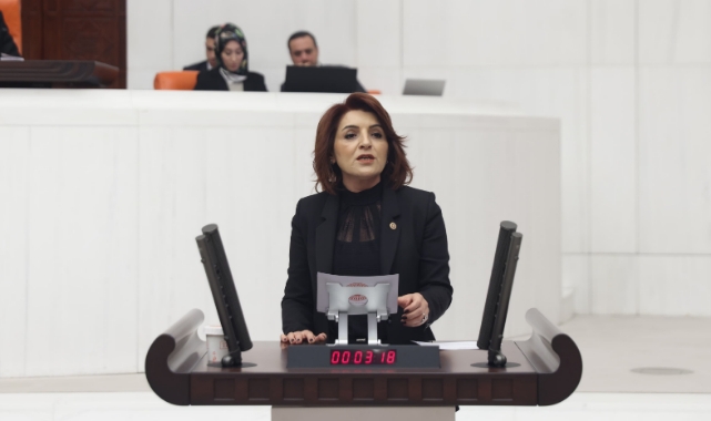 Usulsüz Seçmen Taşıma İddiaları Meclis Gündeminde