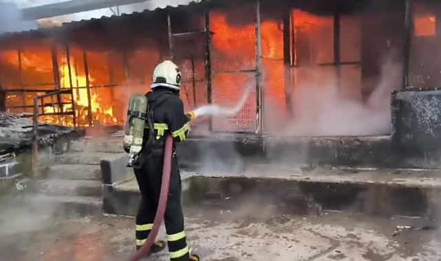 Yanarak Öldüler!