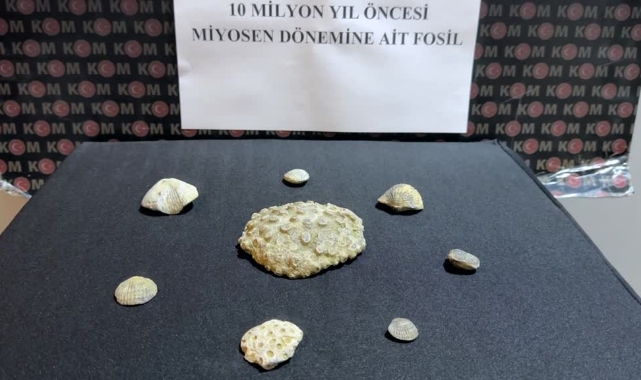 Evinden Fosil Çıktı!