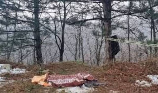 Devrilen Ağacın Altında Kaldı