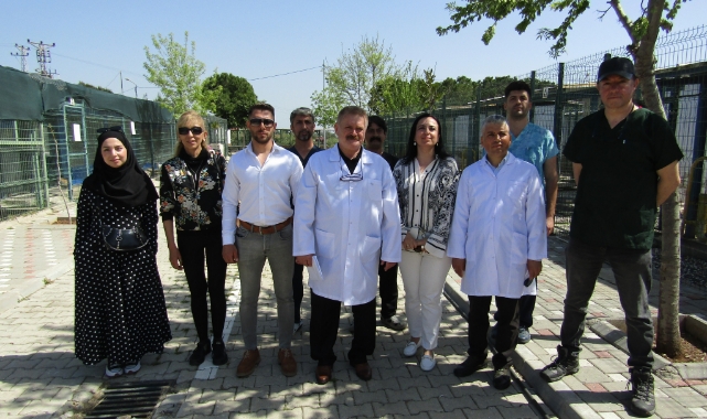 ‘’Kısırlaştırma Seferberliği Başlatılmalı’’
