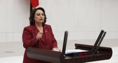 Müzeyyen Şevkin:''Madenlerimiz Peşkeş Çekilecek”