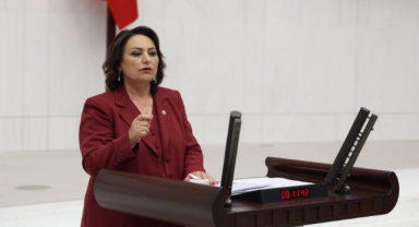 Müzeyyen Şevkin:''Madenlerimiz Peşkeş Çekilecek”