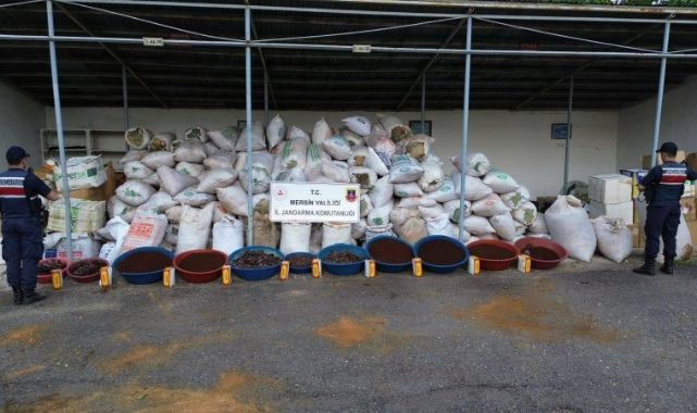 10 Ton Kaçak Tütün Ele Geçirildi
