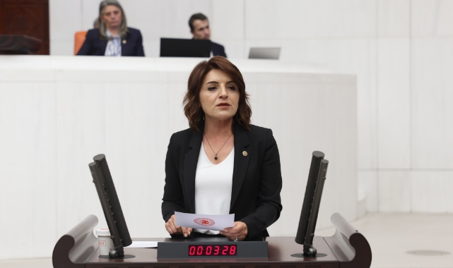 CHP'li Kış:''68 Bin Öğretmen Açığına 20 Bin Atama!''