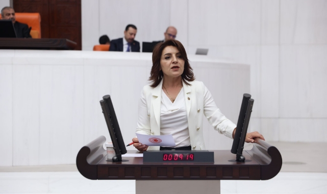 CHP’li Kış:''Şimşek Tasarruf Diyor, Çevre Bakanı Gökdelen Kiralıyor''