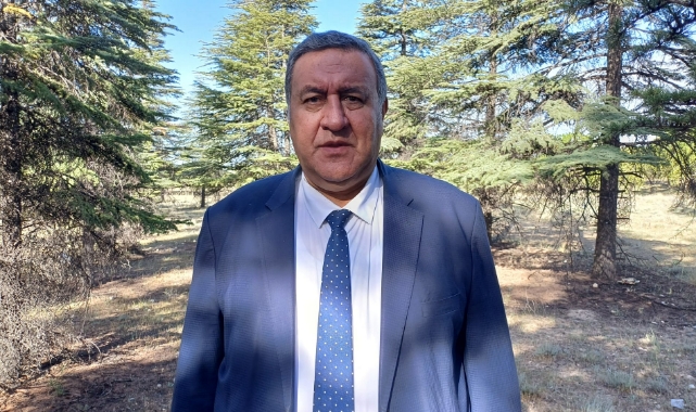Gürer:''Ormanlar Talana Uğruyor”