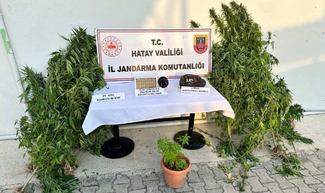 Hatay'da Uyuşturucu ve Kaçakçılık Operasyonu