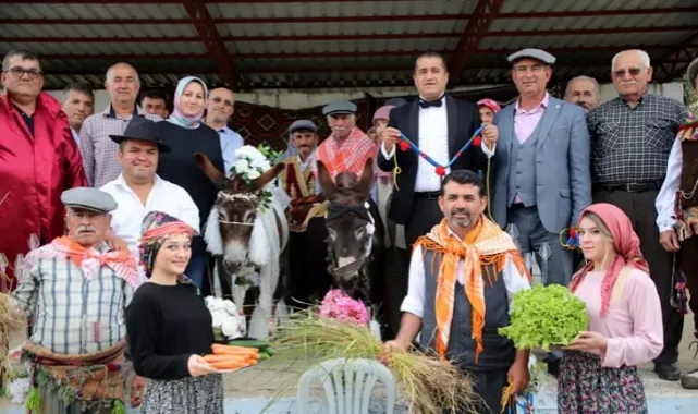 Sonunda Bu Da Oldu! Eşekleri Evlendirdiler...