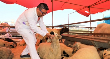 Yüreğir’de Kurban Satış ve Kesim Yerleri Belirlendi