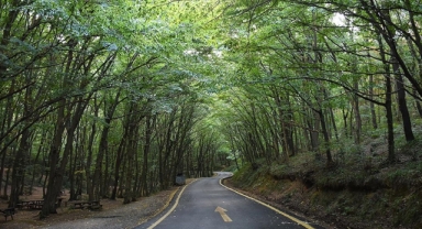 27 İlde Ormana Giriş Yasağı