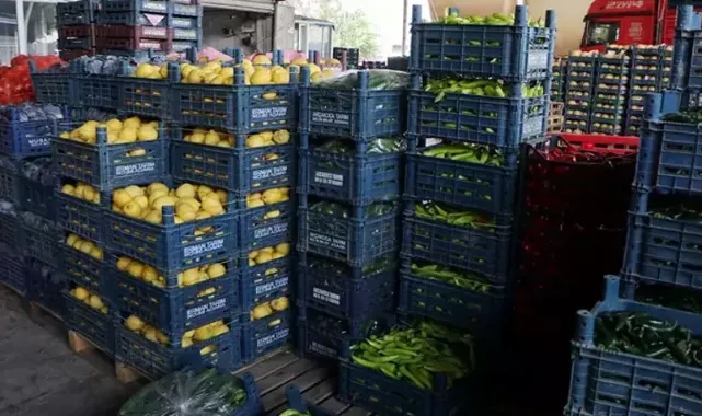 'Adana Hali’ne Ayda 4 Bin 500 Ton Korsan Ürün Giriyor