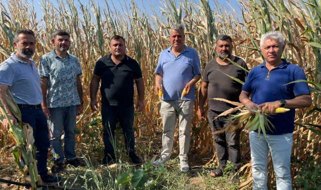 Adanalı Çiftçiler, Sulama Mağduru